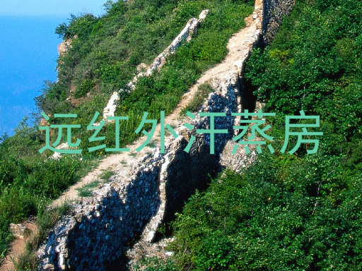 远红外汗蒸房