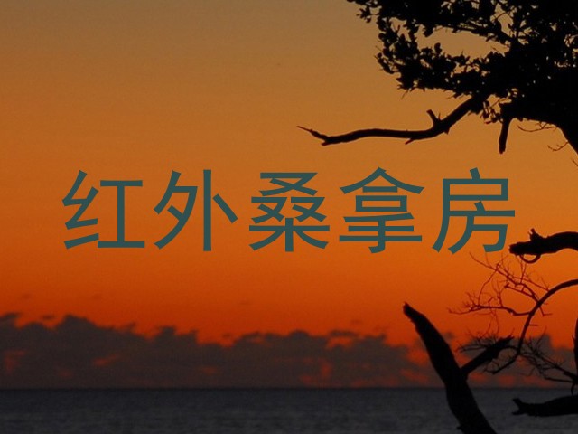 红外桑拿房