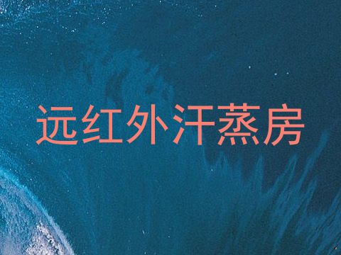 远红外汗蒸房