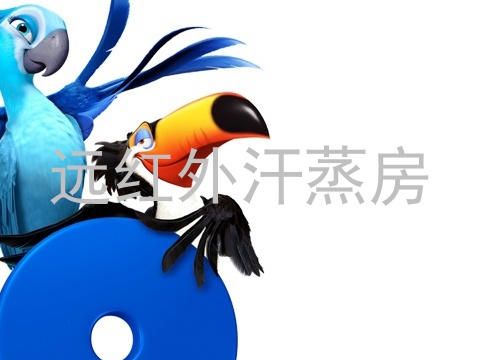 远红外汗蒸房