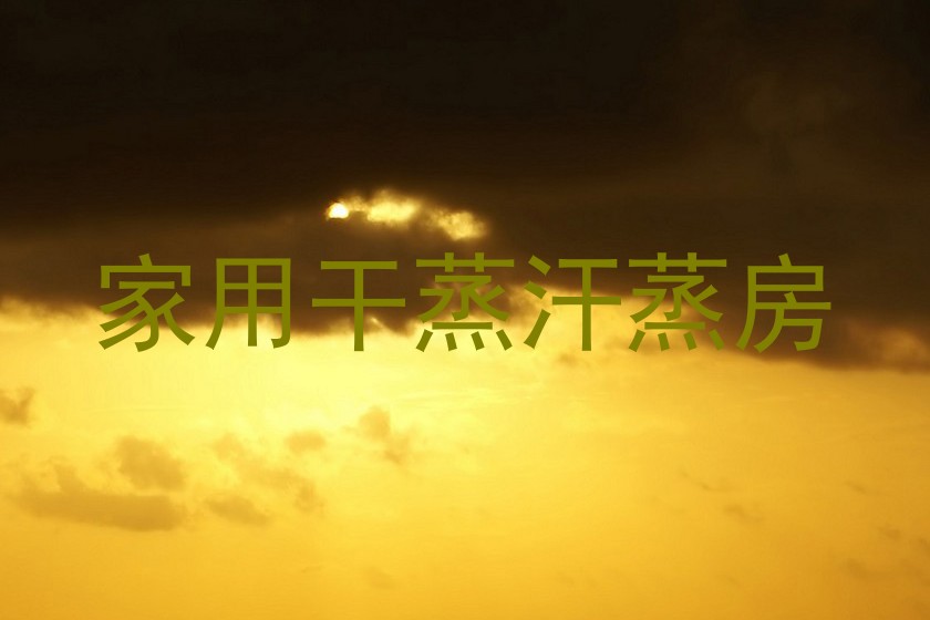 家用干蒸汗蒸房
