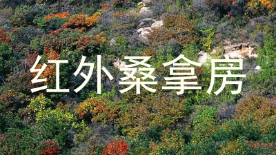 红外桑拿房