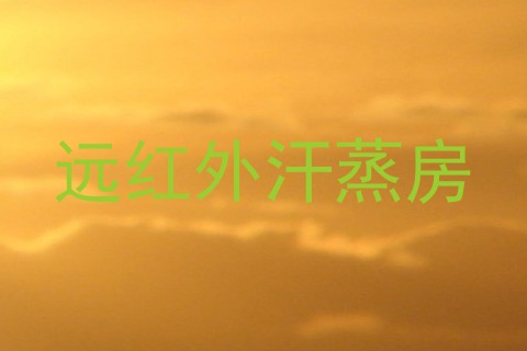 远红外汗蒸房