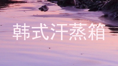 韩式汗蒸箱