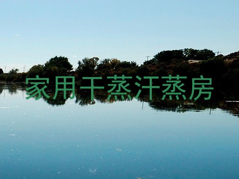 家用干蒸汗蒸房