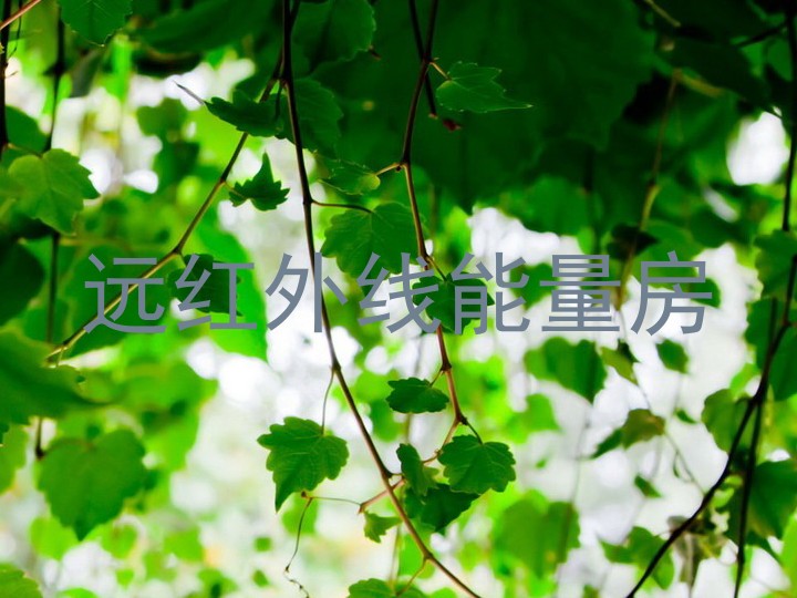 远红外线能量房
