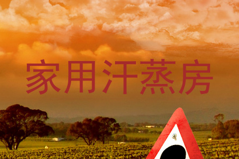 家用汗蒸房