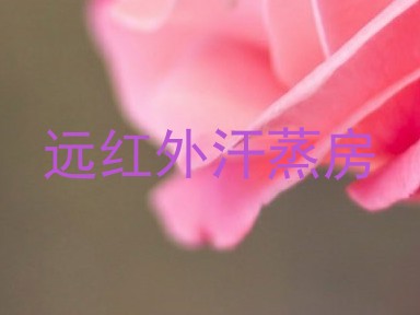 远红外汗蒸房