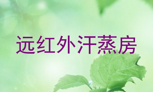 远红外汗蒸房