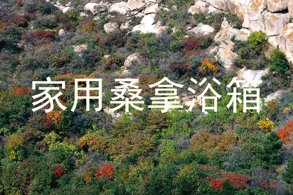 家用桑拿浴箱