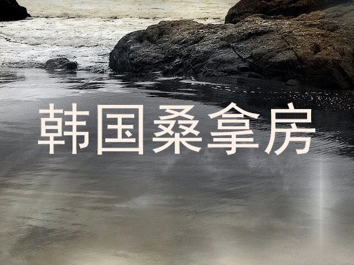 韩国桑拿房