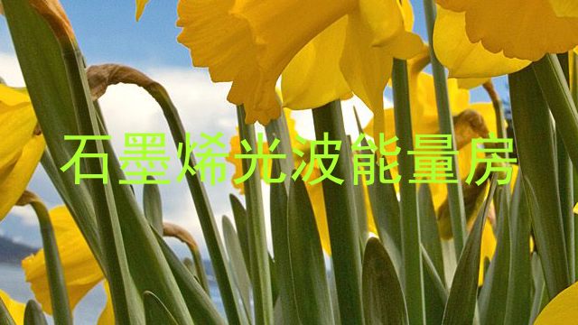 石墨烯光波能量房