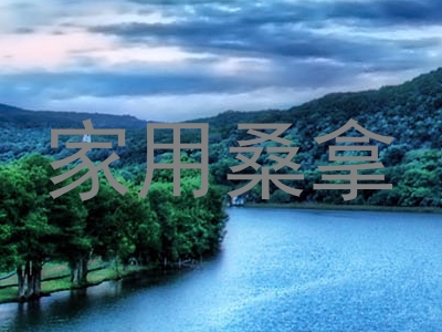 家用桑拿