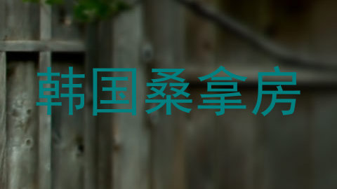 韩国桑拿房