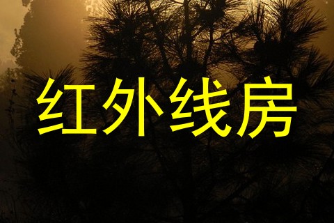 红外线房