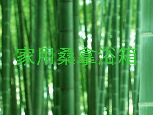 家用桑拿浴箱