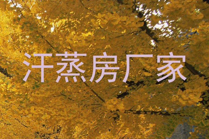 汗蒸房厂家