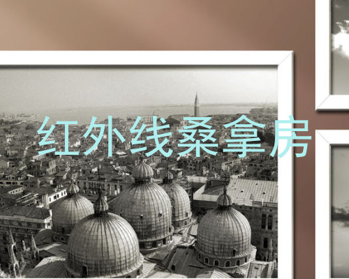 红外线桑拿房