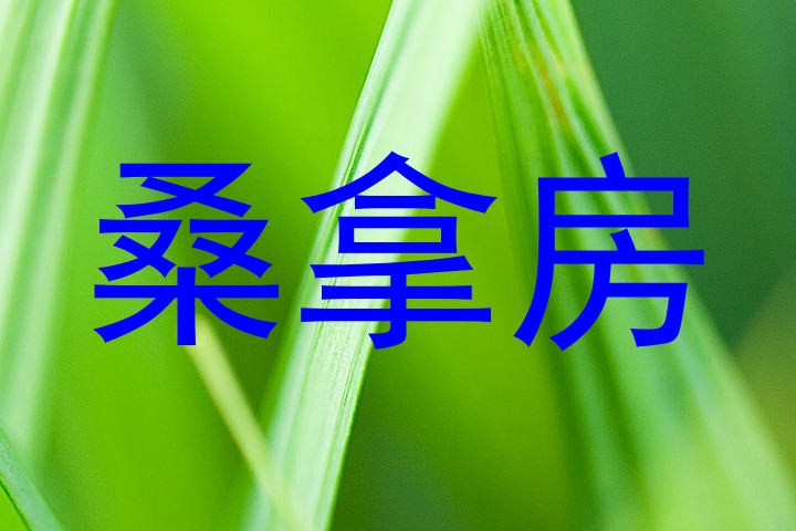 桑拿房