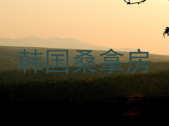 韩国桑拿房