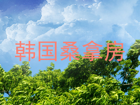 韩国桑拿房