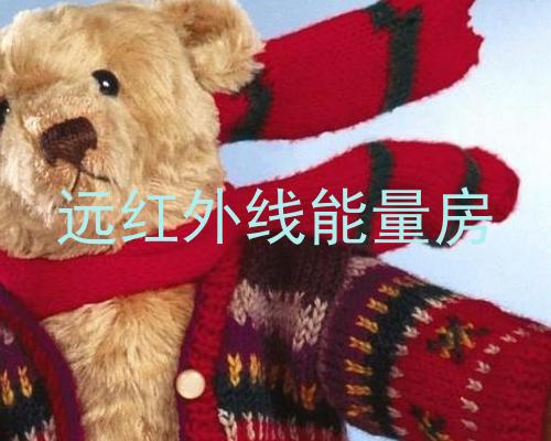 远红外线能量房
