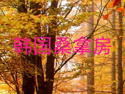 韩国桑拿房