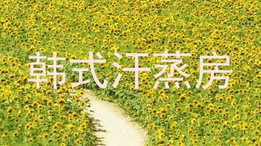 韩式汗蒸房