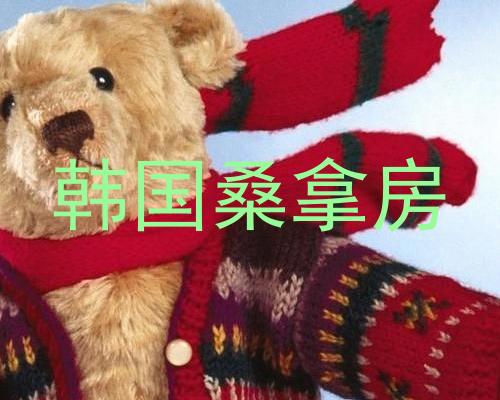 韩国桑拿房