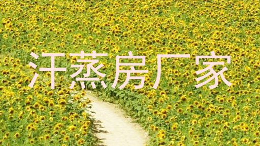 汗蒸房厂家