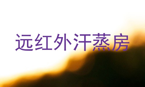 远红外汗蒸房