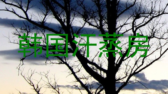 韩国汗蒸房