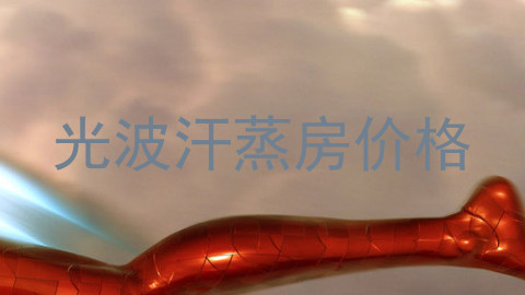 光波汗蒸房价格