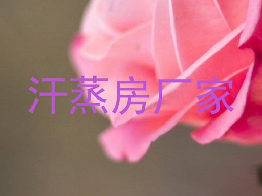 汗蒸房厂家