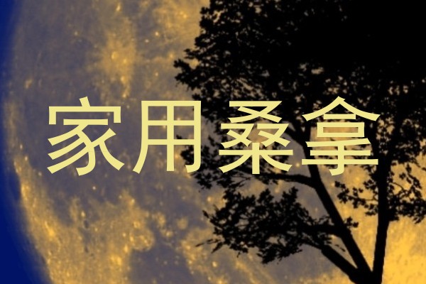 家用桑拿