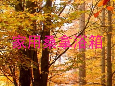 家用桑拿浴箱