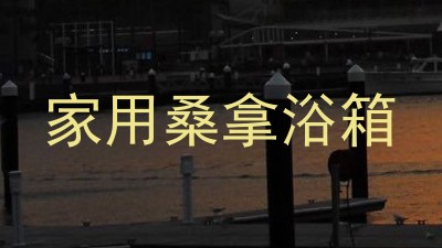 家用桑拿浴箱