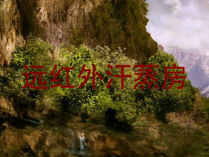 远红外汗蒸房