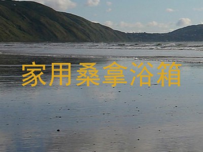 家用桑拿浴箱