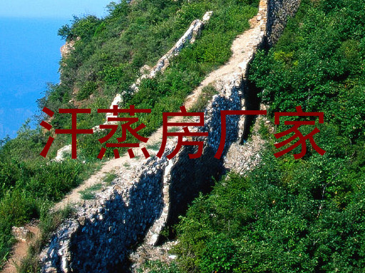 汗蒸房厂家