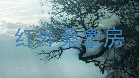 红外桑拿房