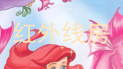 红外线房