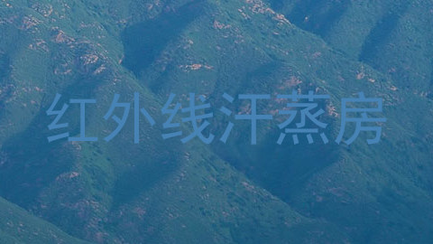 红外线汗蒸房