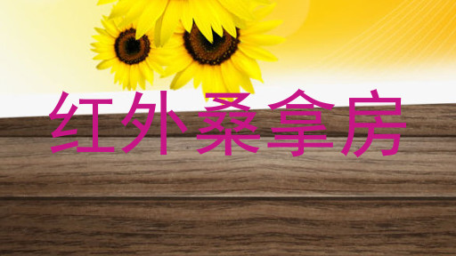 红外桑拿房