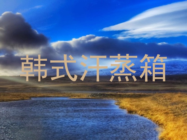 韩式汗蒸箱
