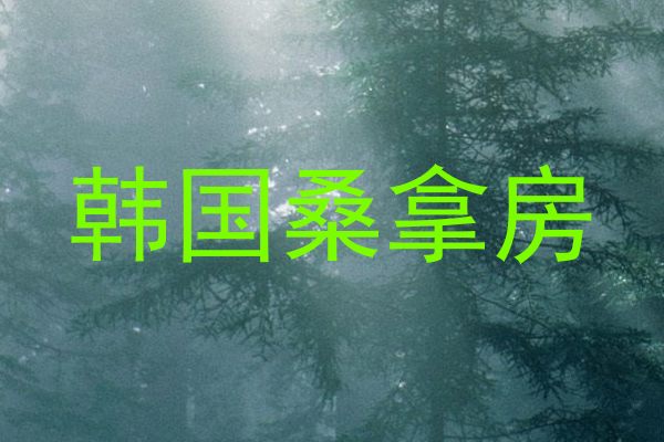 韩国桑拿房