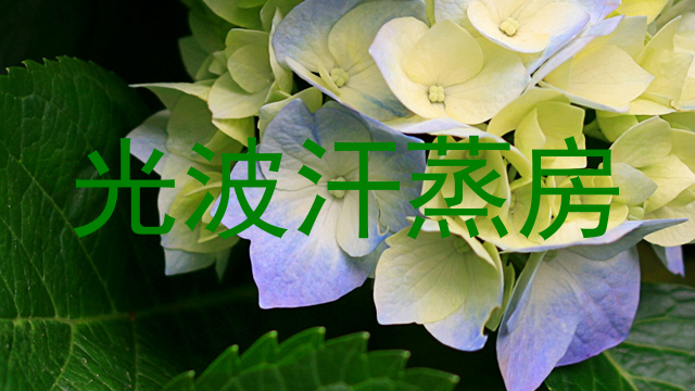 光波汗蒸房