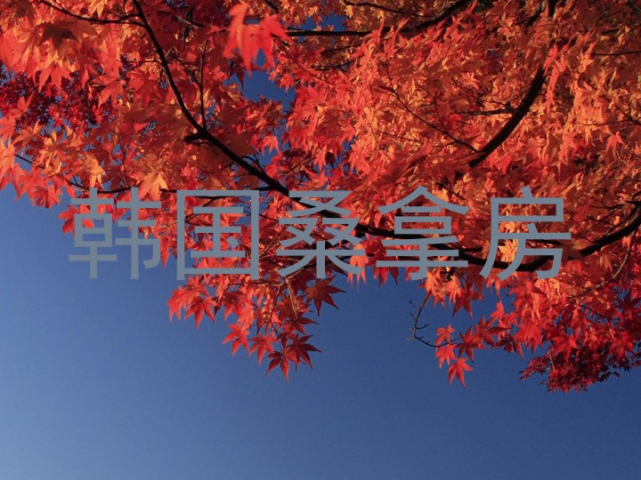 韩国桑拿房