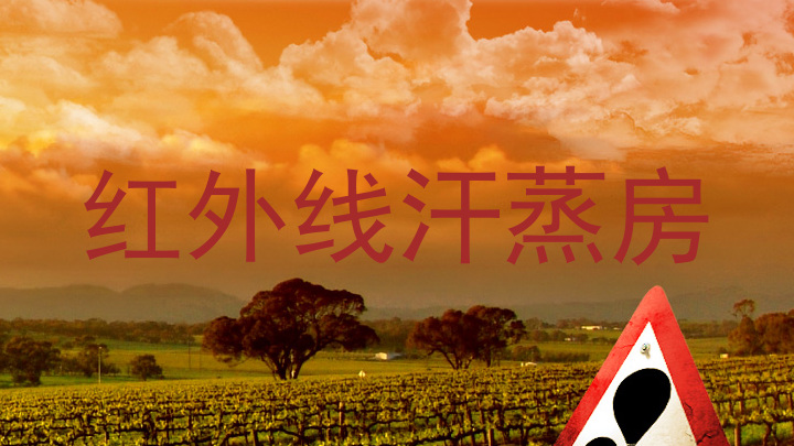 红外线汗蒸房
