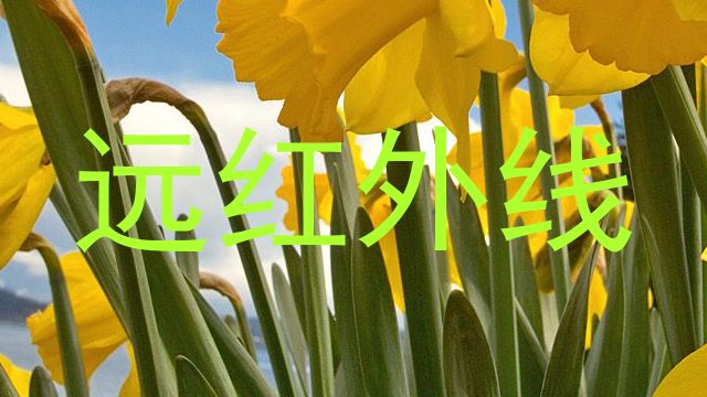远红外线